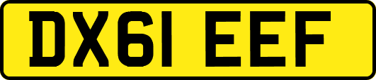 DX61EEF
