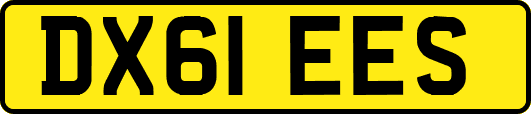 DX61EES