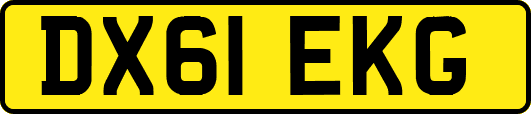 DX61EKG