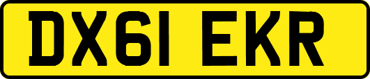 DX61EKR
