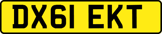 DX61EKT