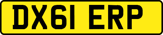 DX61ERP