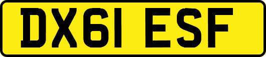 DX61ESF