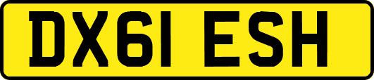 DX61ESH