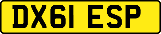DX61ESP
