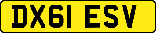 DX61ESV