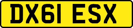 DX61ESX