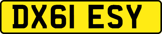 DX61ESY