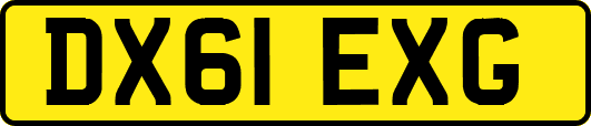 DX61EXG