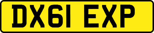 DX61EXP