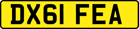 DX61FEA