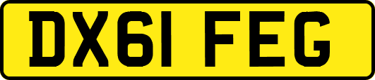 DX61FEG