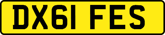 DX61FES