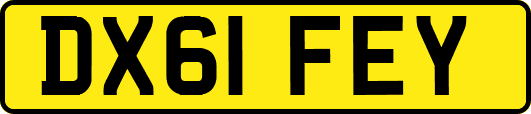 DX61FEY