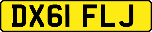 DX61FLJ