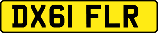 DX61FLR