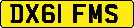 DX61FMS