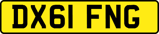 DX61FNG