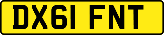 DX61FNT