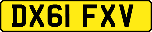 DX61FXV