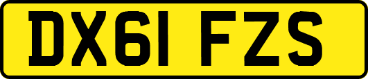 DX61FZS