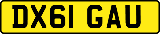 DX61GAU