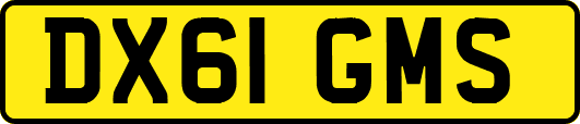 DX61GMS