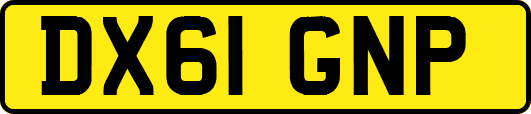 DX61GNP