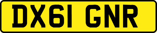 DX61GNR