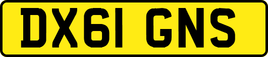 DX61GNS