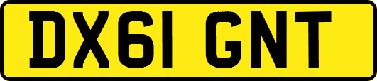 DX61GNT