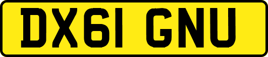 DX61GNU