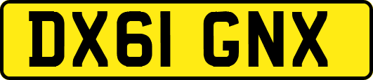 DX61GNX