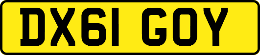 DX61GOY