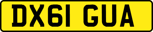 DX61GUA