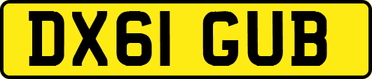 DX61GUB