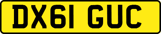 DX61GUC