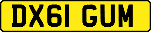 DX61GUM