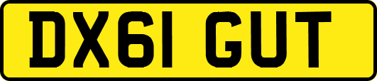 DX61GUT