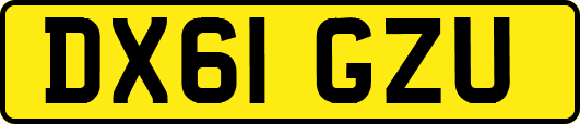 DX61GZU
