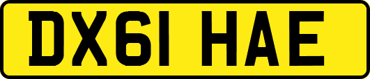 DX61HAE