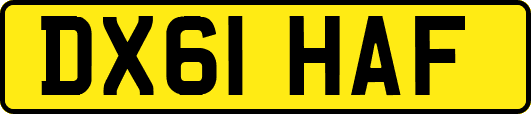 DX61HAF