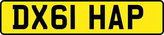 DX61HAP