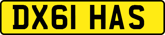 DX61HAS