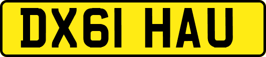 DX61HAU