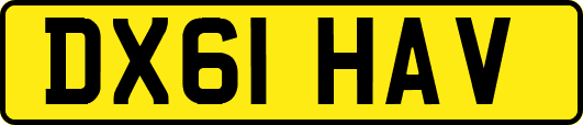 DX61HAV