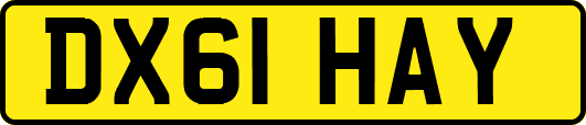 DX61HAY