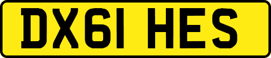 DX61HES