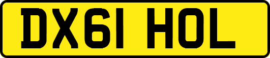 DX61HOL