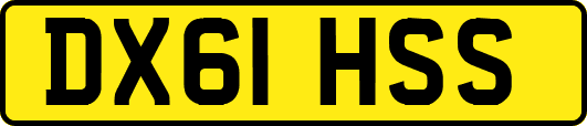 DX61HSS